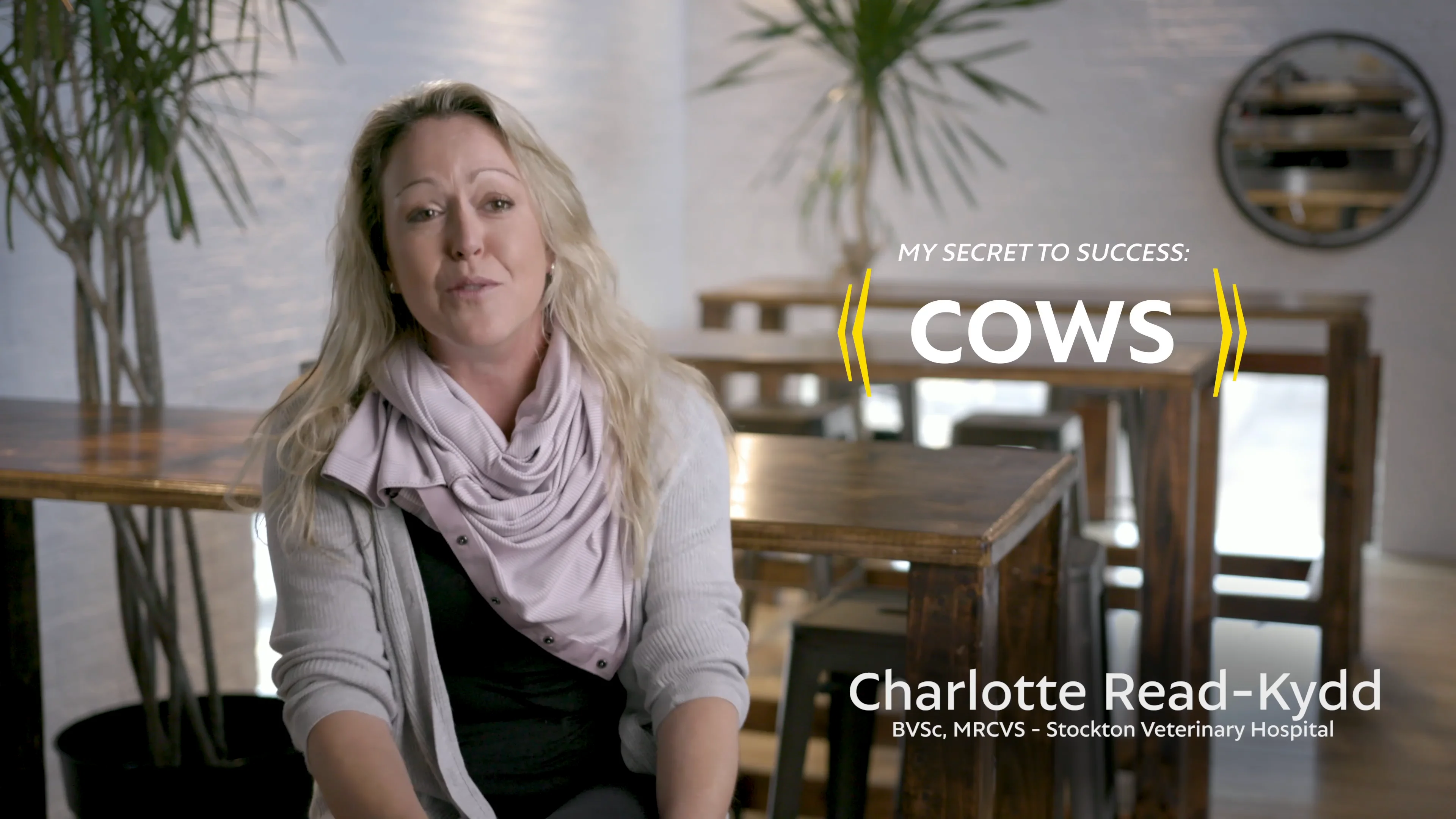 Top 10 Charlotte_99Xx Success Stories - txe2sp7