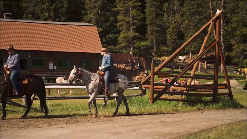 vimeo-video-thumbnail