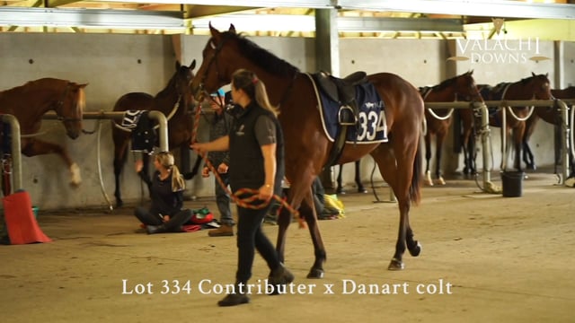 Lot 334