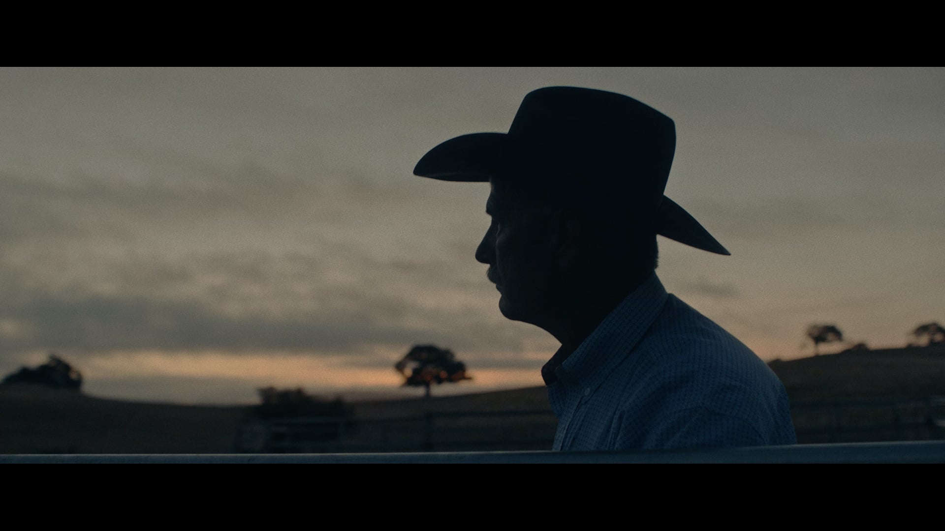 Google Wing (Brand Film)