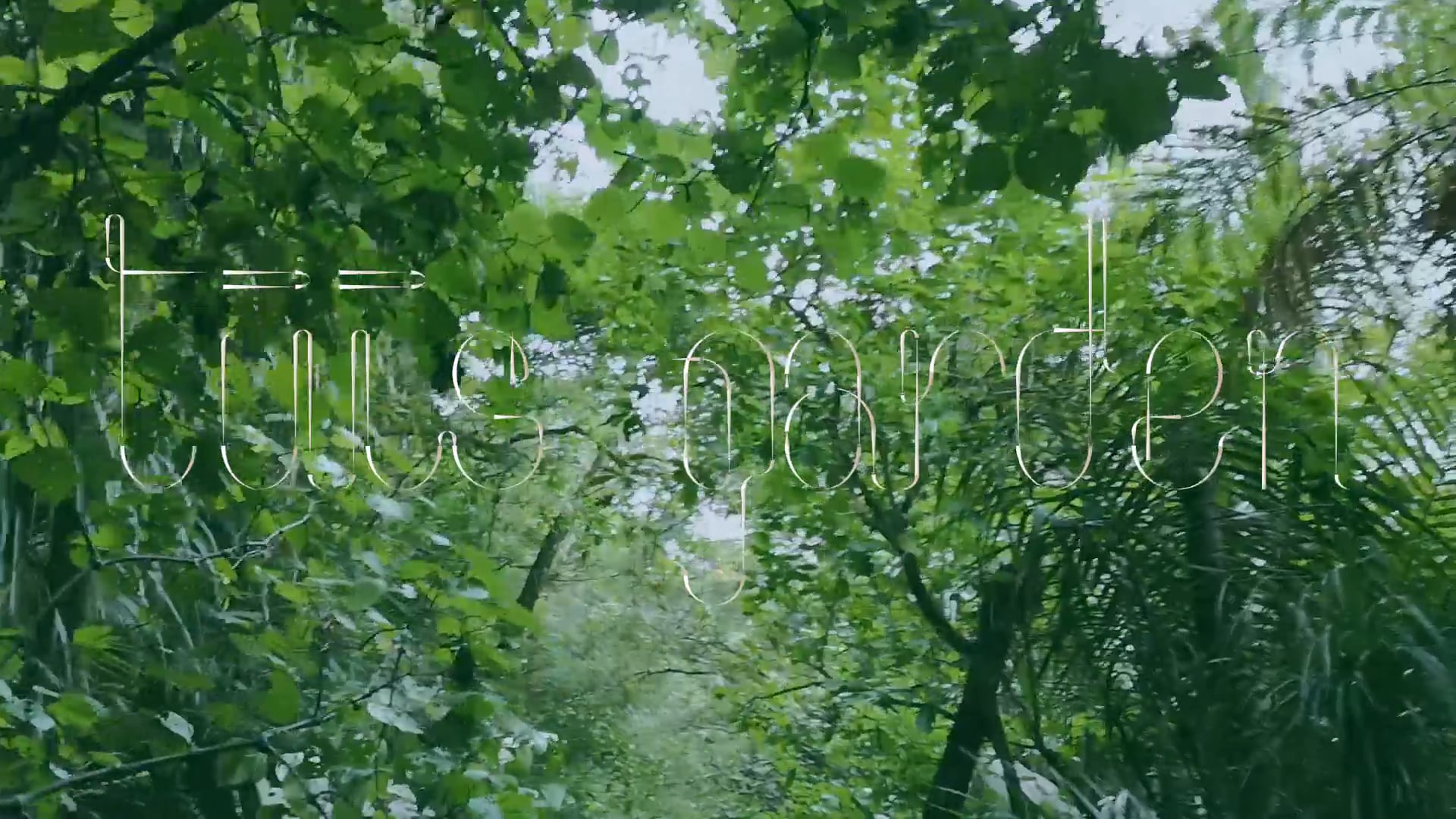 Teaser - TUIS GARDEN