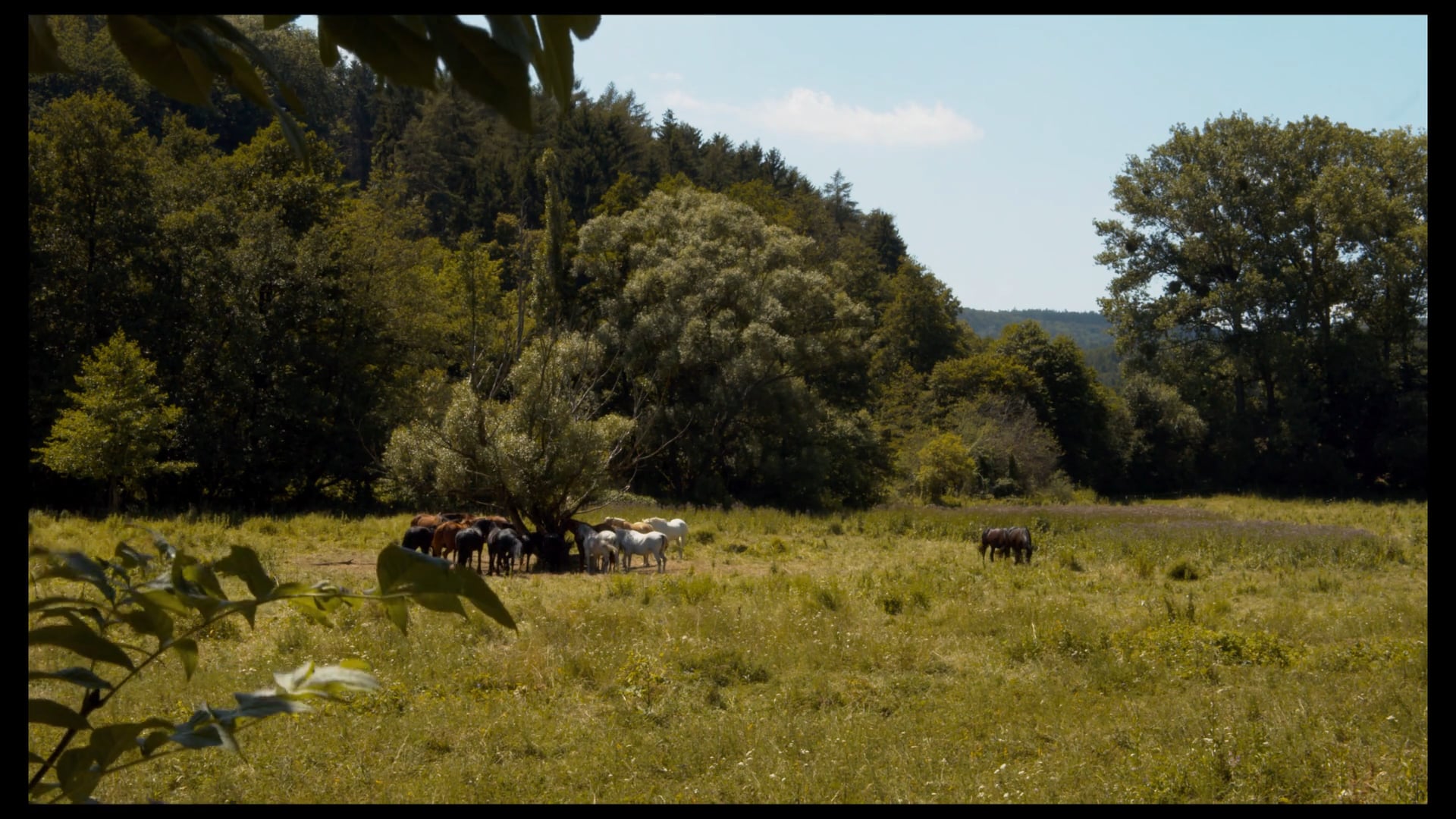 Trailer for a documentary movie A Year in a Village