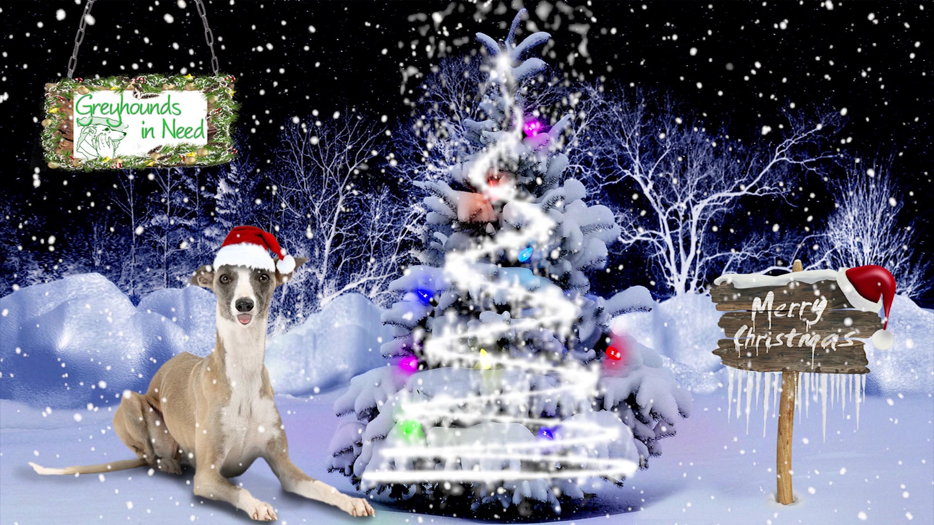 GREYHOUNDS IN NEED CHRISTMAS MOVIE