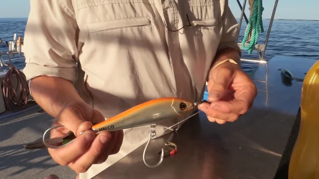 Sailfish - Techniques for Switch Baiting