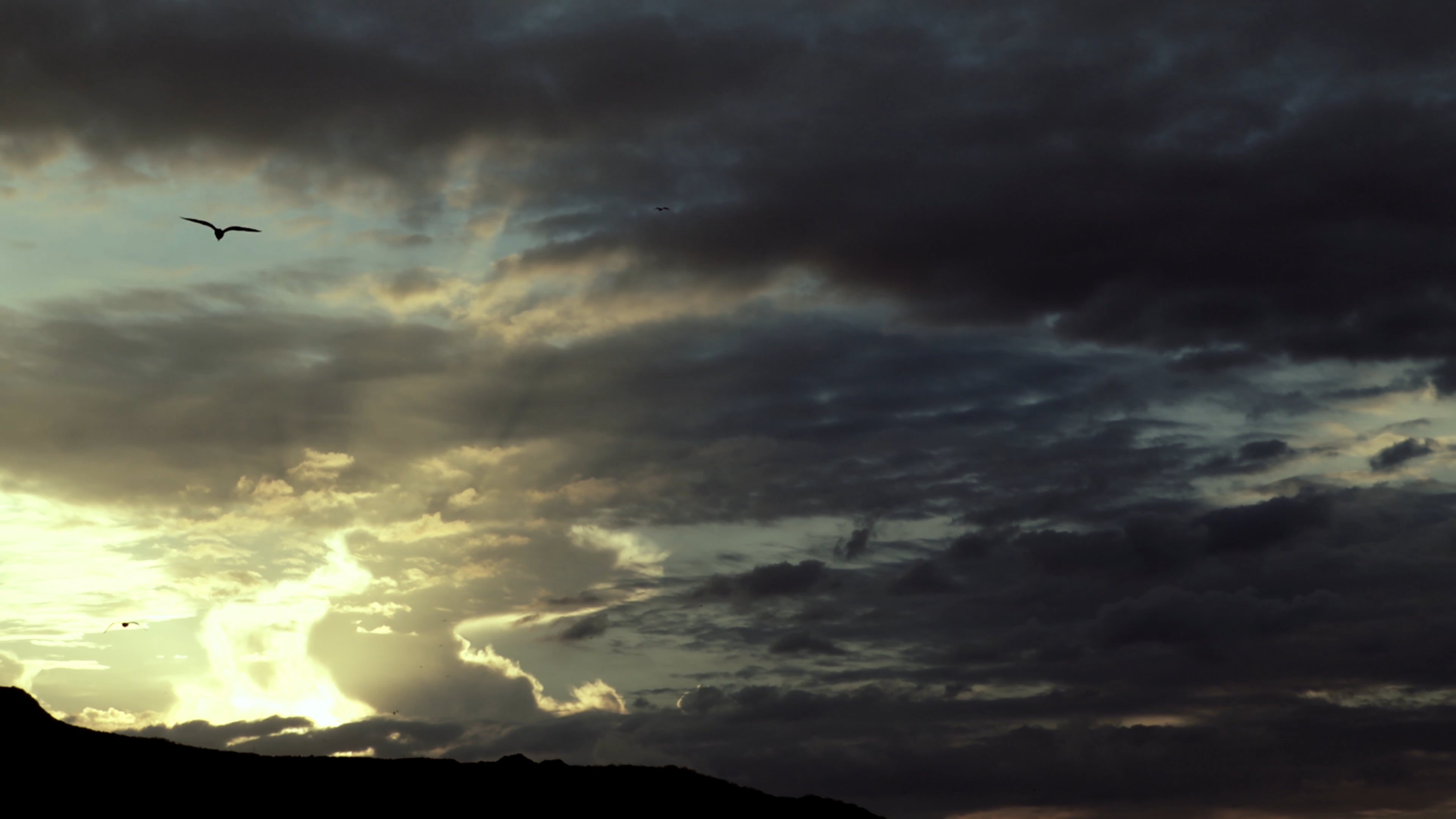 Reflejos de Libertad