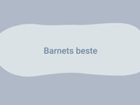Barns beste