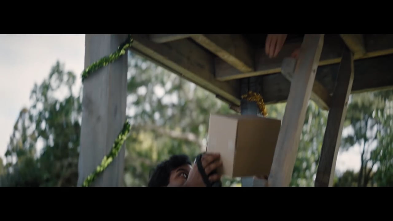 NZ Post Christmas ad 2019