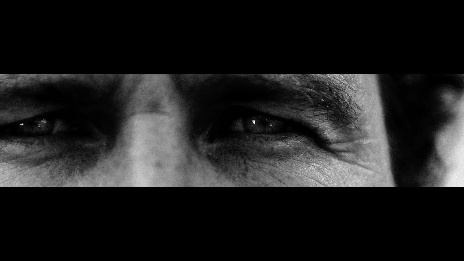 CAISSE D'EPARGNE: PORTRAITS SOLIDAIRES///DETRITIVORES