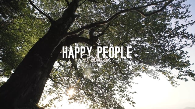 Tree of life
