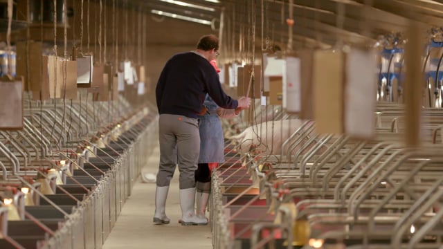 Spar. We Support those who Support a Nation. Butt Farms