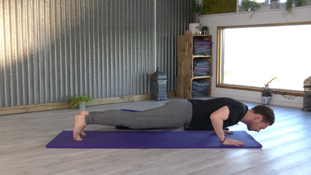 Why Do I Hurt When In Chaturanga (Low Plank) Pose?