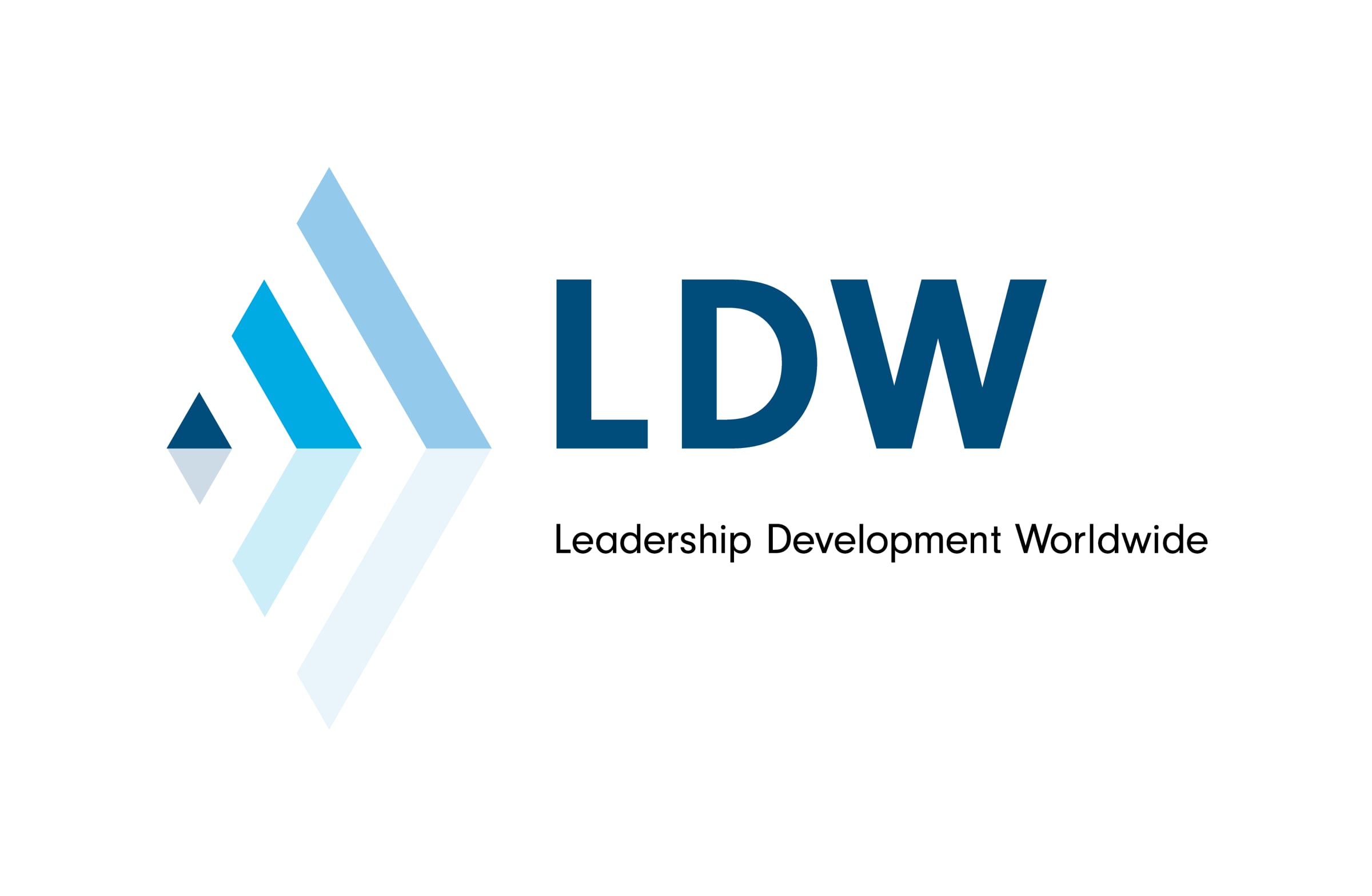 LDW Team discusses LDW executive assessment experience | Videos ...