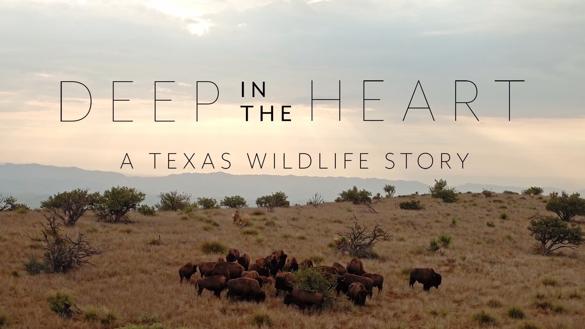 Deep in the Heart: A Texas Wildlife Story - 2019 Teaser