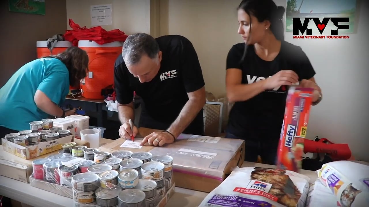 Wynwood Dog Food Co. - Coral Gables