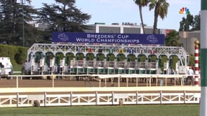 Mitole | 2019 Breeders' Cup Sprint G1 