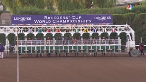 Vino Rosso | 2019 Breeders' Cup Classic G1 