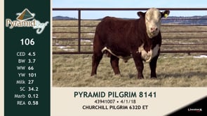 Lot #106 - PYRAMID PILGRIM 8141