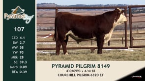 Lot #107 - PYRAMID PILGRIM 8149