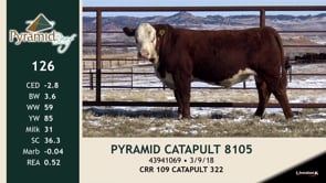 Lot #126 - PYRAMID CATAPULT 8105