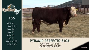 Lot #135 - PYRAMID PERFECTO 8108
