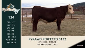 Lot #134 - PYRAMID PERFECTO 8132