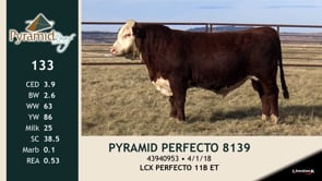 Lot #133 - PYRAMID PERFECTO 8139