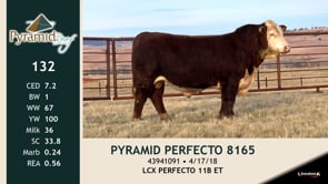 Lot #132 - PYRAMID PERFECTO 8165