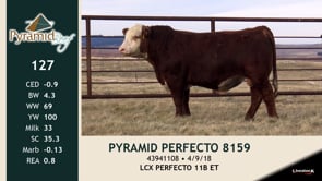 Lot #127 - PYRAMID PERFECTO 8159