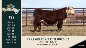 Lot #122 - PYRAMID PERFECTO 8026 ET