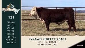 Lot #121 - PYRAMID PERFECTO 8101