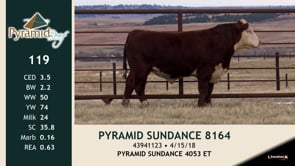 Lot #119 - PYRAMID SUNDANCE 8164