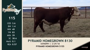 Lot #115 - PYRMID HOMEGROWN 8130