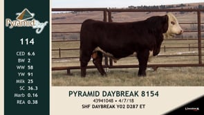 Lot #114 - PYRAMID DAYBREAK 8154