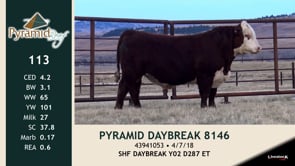 Lot #113 - PYRAMID DAYBREAK 8146