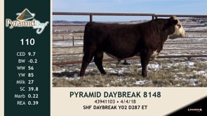 Lot #110 - PYRAMID DAYBREAK 8148