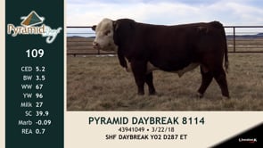 Lot #109 - PYRAMID DAYBREAK 8114