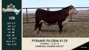 Lot #108 - PYRAMID PILGRIM 8129