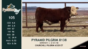 Lot #105 - PYRAMID PILGRIM 8138