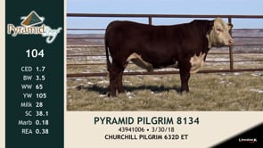 Lot #104 - PYRAMID PILGRIM 8134