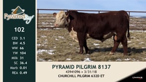 Lot #102 - PYRAMID PILGRIM 8137