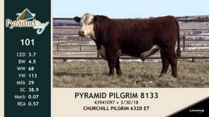 Lot #101 - PYRAMID PILGRIM 8133