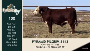 Lot #100 - PYRAMID PILGRIM 8143
