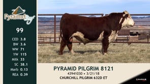 Lot #99 - PYRAMID PILGRIM 8121