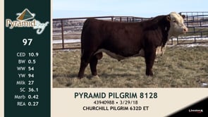Lot #97 - PYRAMID PILGRIM 8128