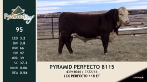 Lot #95 - PYRAMID PERFECTO 8115