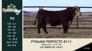 Lot #94 - PYRAMID PERFECTO 8111