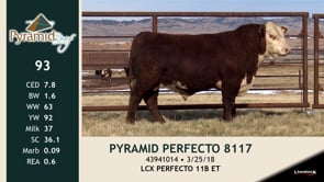 Lot #93 - PYRAMID PERFECTO 8117