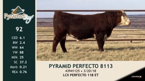 Lot #92 - PYRAMID PERFECTO 8113