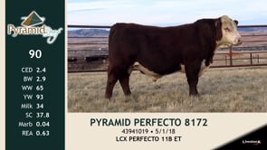 Lot #90 - PYRAMID PERFECTO 8172