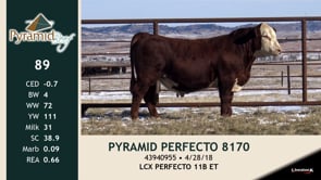 Lot #89 - PYRAMID PERFECTO 8170